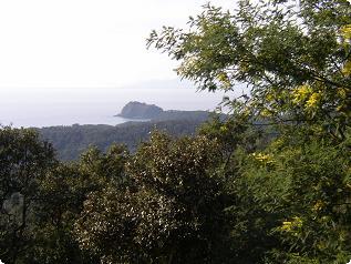 Bormes-les-Mimosas Sentier du littoral