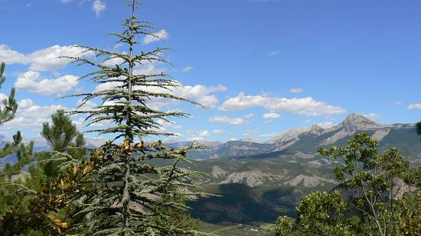 Digne-les-Bains 