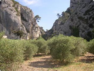 Les Gorges de Régalon 