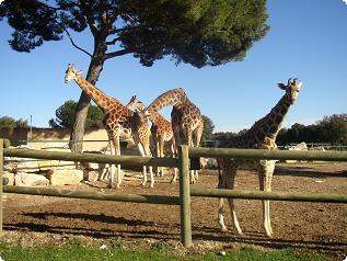 Zoo la Barben 