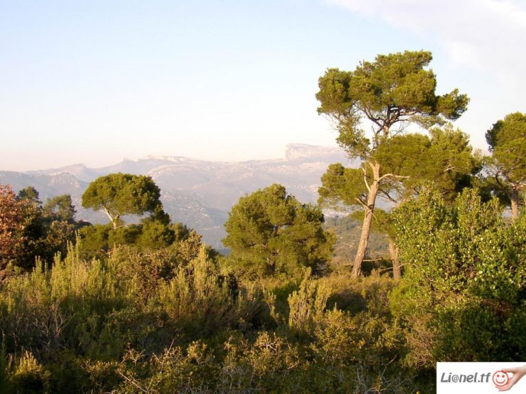 ☀️&rArr; NEW RANDO ! Le Grand Caunet Mardi 17 Mars 9h00