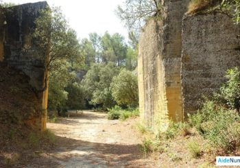 Le sentier de découverte du Loubatas à Peyrolles